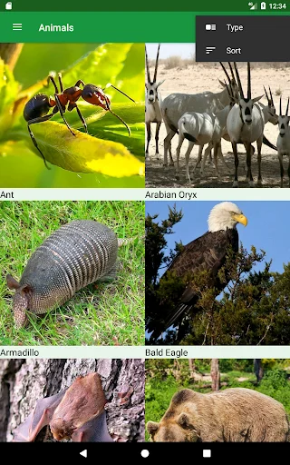 Wild Animals Puzzle ডাউনলোড করুন – বন্যপ্রাণীর মজার পাজল গেম - Screenshot 11