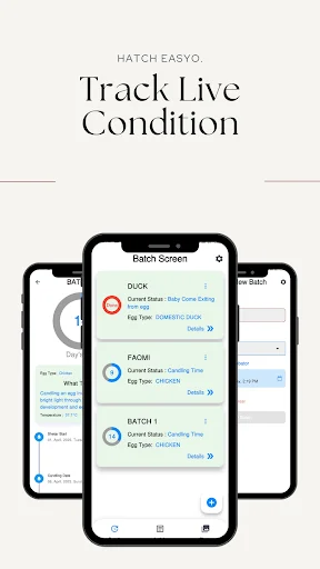 Hatch Easy ডাউনলোড করুন – ডিম ফোটানোর সেরা ইনকিউবেটর অ্যাপ - Screenshot 9