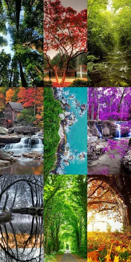 Nature Escape HD Wallpapers ডাউনলোড করুন – সেরা প্রাকৃতিক দৃশ্য - Screenshot 16