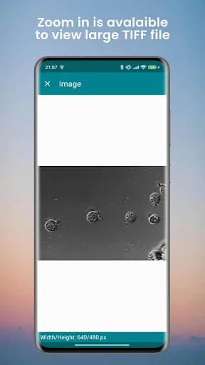 TIFF Viewer ডাউনলোড করুন – TIFF ফাইল রূপান্তর ও দেখার সেরা টুল - Screenshot 4