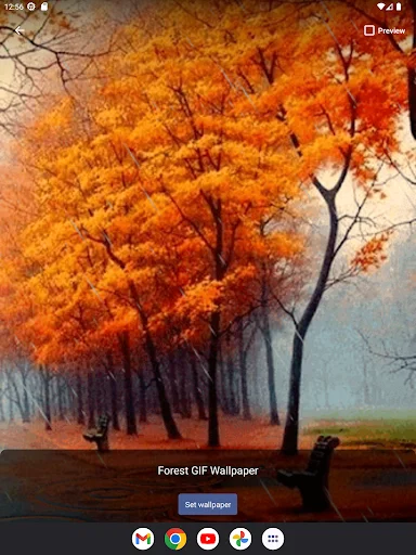 Forest GIF Wallpaper ডাউনলোড করুন – সেরা লাইভ ওয়ালপেপার ও GIF - Screenshot 15