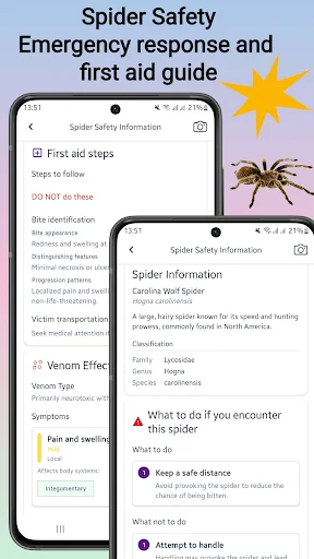 Spider Identifier ডাউনলোড করুন – মাকড়সার নাম শনাক্ত করুন - Screenshot 4