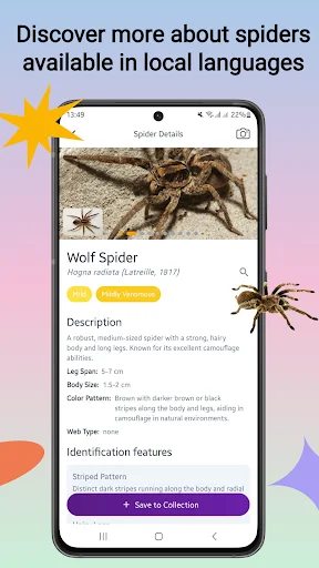 Spider Identifier ডাউনলোড করুন – মাকড়সার নাম শনাক্ত করুন - Screenshot 2