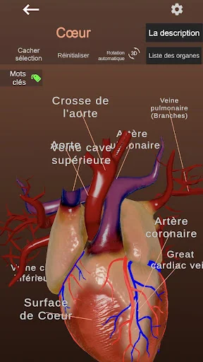 Internal Organs in 3D Anatomy ডাউনলোড করুন – সেরা অ্যানাটমি অ্যাপ - Screenshot 5
