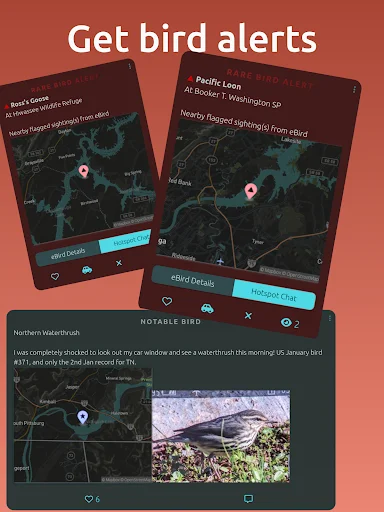 BirdingApp ডাউনলোড করুন – দুর্লভ পাখির আপডেট ও বার্ডারদের সাথে সংযোগ - Screenshot 20