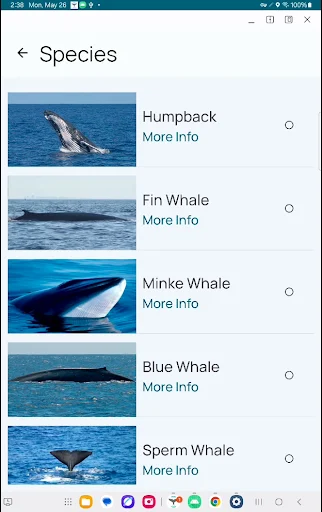 Whale Alert অ্যাপ ডাউনলোড করুন – তিমির অবস্থান ও সুরক্ষা - Screenshot 13