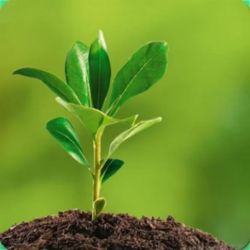 Environmental Ecology অ্যাপ ডাউনলোড করুন – পরিবেশ শিক্ষা ফ্রি
