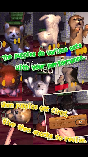 Animal Dance puppies ডাউনলোড করুন – মিউজিক ও ভার্চুয়াল পেট গেম - Screenshot 3