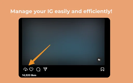 IG Downloader ডাউনলোড করুন – Instagram ফটো, ভিডিও ও রিলস সেভার - Screenshot 1