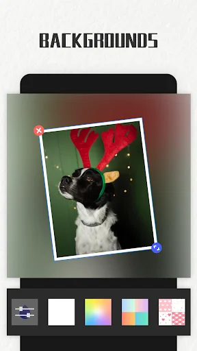 Photo Collage Maker ডাউনলোড করুন – সেরা ফটো এডিটর ও কোলাজ মেকার - Screenshot 5