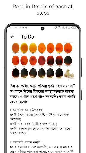 Hatch Easy ডাউনলোড করুন – ডিম ফোটানোর সেরা ইনকিউবেটর অ্যাপ - Screenshot 6