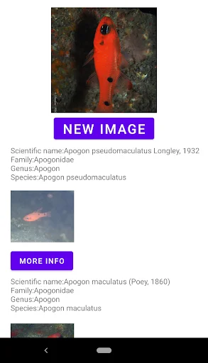 Fish Identifier অ্যাপ ডাউনলোড করুন – মাছের নাম ও তথ্য জানুন - Screenshot 15
