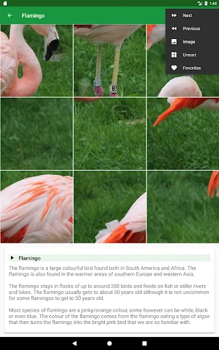 Wild Animals Puzzle ডাউনলোড করুন – বন্যপ্রাণীর মজার পাজল গেম - Screenshot 18