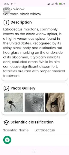Spider Identifier ডাউনলোড করুন – মাকড়সার নাম শনাক্ত করুন - Screenshot 16