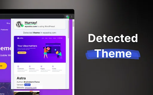 WordPress Theme and Plugin Detector ডাউনলোড করুন – সেরা টুল - Screenshot 1