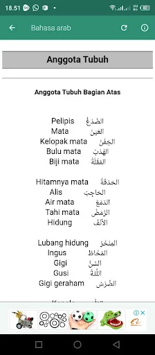 Percakapan Bahasa Arab ডাউনলোড করুন – সেরা আরবি কথোপকথন শিখুন - Screenshot 6