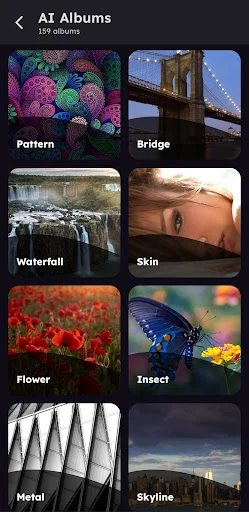 Liquid Gallery ডাউনলোড করুন – দ্রুত এবং নিরাপদ ফটো ভিউয়ার - Screenshot 2