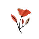 Flowers Backgrounds ডাউনলোড করুন – নতুন ট্যাব থিম ফ্রি