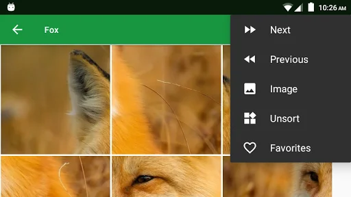 Wild Animals Puzzle ডাউনলোড করুন – বন্যপ্রাণীর মজার পাজল গেম - Screenshot 7