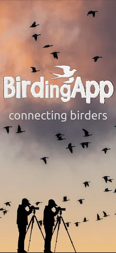 BirdingApp ডাউনলোড করুন – দুর্লভ পাখির আপডেট ও বার্ডারদের সাথে সংযোগ - Screenshot 3