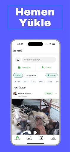 Haysat অ্যাপ ডাউনলোড করুন – গবাদি পশু কেনাবেচার সেরা প্ল্যাটফর্ম - Screenshot 4