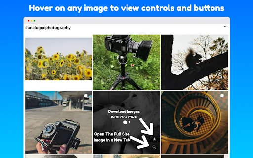 Instagram Media Controls – ভিডিও স্ক্রাবার ও ডাউনলোড টুল - Screenshot 2
