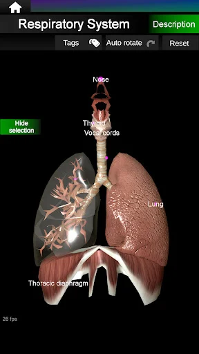 Internal Organs in 3D Anatomy ডাউনলোড করুন – সেরা অ্যানাটমি অ্যাপ - Screenshot 12