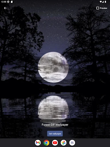 Forest GIF Wallpaper ডাউনলোড করুন – সেরা লাইভ ওয়ালপেপার ও GIF - Screenshot 14