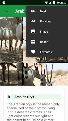 Wild Animals Puzzle ডাউনলোড করুন – বন্যপ্রাণীর মজার পাজল গেম - Screenshot 4