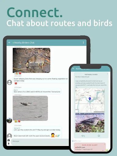 BirdingApp ডাউনলোড করুন – দুর্লভ পাখির আপডেট ও বার্ডারদের সাথে সংযোগ - Screenshot 14