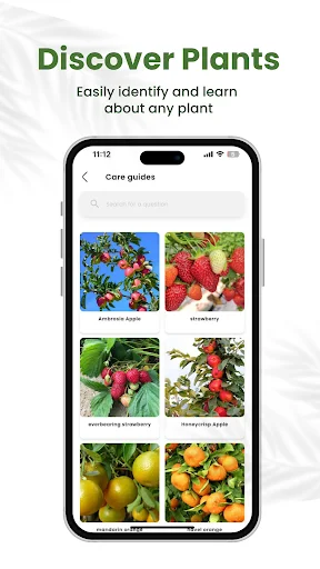 Planty Life – উদ্ভিদ শনাক্তকরণ অ্যাপ ডাউনলোড করুন – সেরা কেয়ার টিপস - Screenshot 6