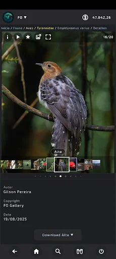 FO Gallery ডাউনলোড করুন – পেশাদার হাই-কোয়ালিটি ছবি সংগ্রহ - Screenshot 8