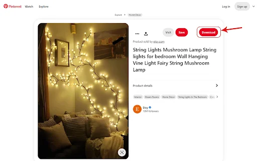 Pinterest Video Downloader: HD ভিডিও ও GIF ডাউনলোড করুন - Screenshot 1