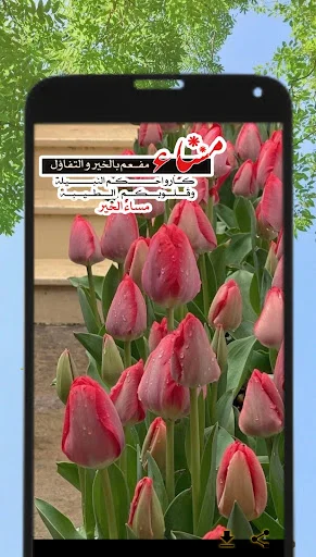 صور صباح ومساء الخير ডাউনলোড করুন – সেরা শুভ সকাল ও রাতের মেসেজ - Screenshot 2