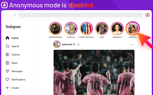 Instagram Stories ডাউনলোড করুন – গোপনে দেখুন ও সেভ করুন - Screenshot 4
