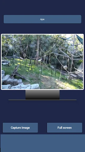 Animal Live Cams ডাউনলোড করুন – বন্যপ্রাণী দেখুন সরাসরি - Screenshot 4