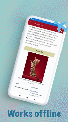 Cat breeds – Smart Identifier ডাউনলোড করুন – সেরা বিড়াল শনাক্তকারী অ্যাপ - Screenshot 4