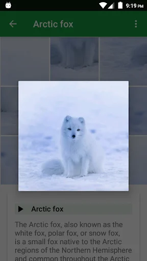 Dogs Puzzle ডাউনলোড করুন – সেরা ডগ পাজল গেম ফ্রি ডাউনলোড - Screenshot 3