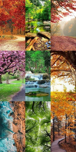 Nature Escape HD Wallpapers ডাউনলোড করুন – সেরা প্রাকৃতিক দৃশ্য - Screenshot 6