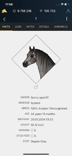 NOBLE HORSE CHAMPION ডাউনলোড করুন – সেরা ফ্রি হর্স গেম - Screenshot 1