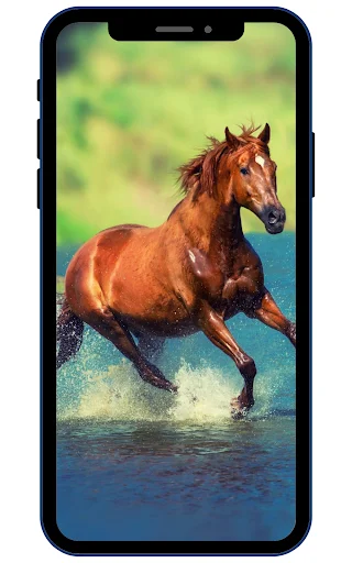 Horse Wallpapers ডাউনলোড করুন – সেরা 4K এইচডি ঘোড়ার ওয়ালপেপার - Screenshot 1