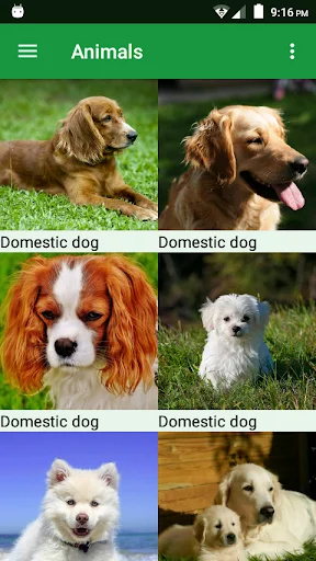 Dogs Puzzle ডাউনলোড করুন – সেরা ডগ পাজল গেম ফ্রি ডাউনলোড - Screenshot 1