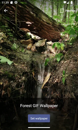 Forest GIF Wallpaper ডাউনলোড করুন – সেরা লাইভ ওয়ালপেপার ও GIF - Screenshot 5