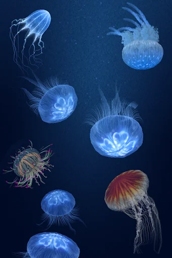 Jellyfish Heaven ডাউনলোড করুন – রিলাক্সিং জেলিফিশ অ্যানিমেশন - Screenshot 11