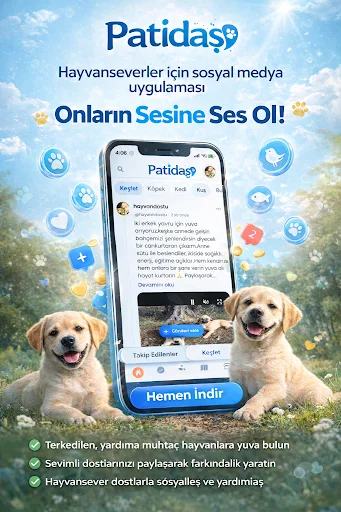 Patidaş ডাউনলোড করুন – পোষা প্রাণী দত্তক ও সেবা অ্যাপ - Screenshot 1