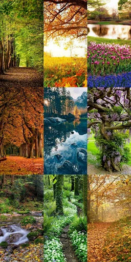 Nature Escape HD Wallpapers ডাউনলোড করুন – সেরা প্রাকৃতিক দৃশ্য - Screenshot 23
