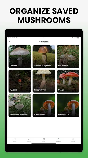 Mushroom Identifier – Mushby ডাউনলোড করুন – সেরা মাশরুম শনাক্তকারী - Screenshot 13
