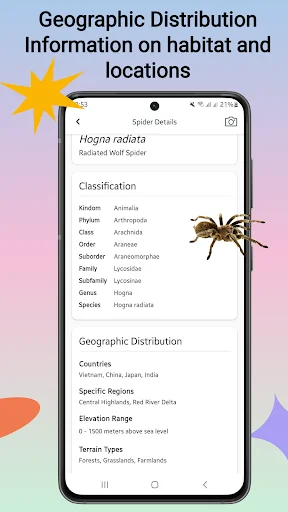 Spider Identifier ডাউনলোড করুন – মাকড়সার নাম শনাক্ত করুন - Screenshot 6
