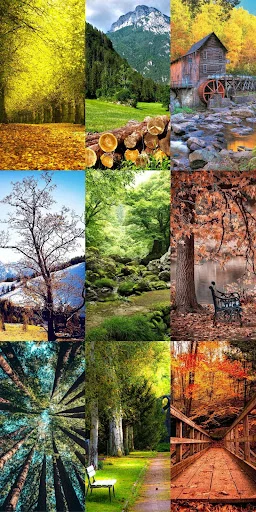 Nature Escape HD Wallpapers ডাউনলোড করুন – সেরা প্রাকৃতিক দৃশ্য - Screenshot 22