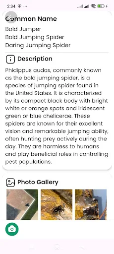 Spider Identifier ডাউনলোড করুন – মাকড়সার নাম শনাক্ত করুন - Screenshot 19